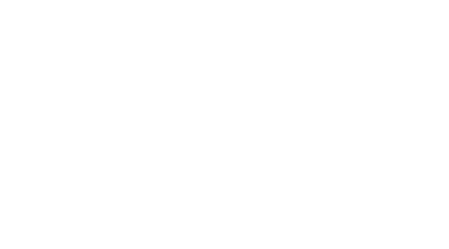 berger 1